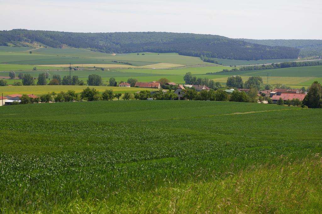 Gite Au Chalet Laferté-sur-Aube Pokój zdjęcie